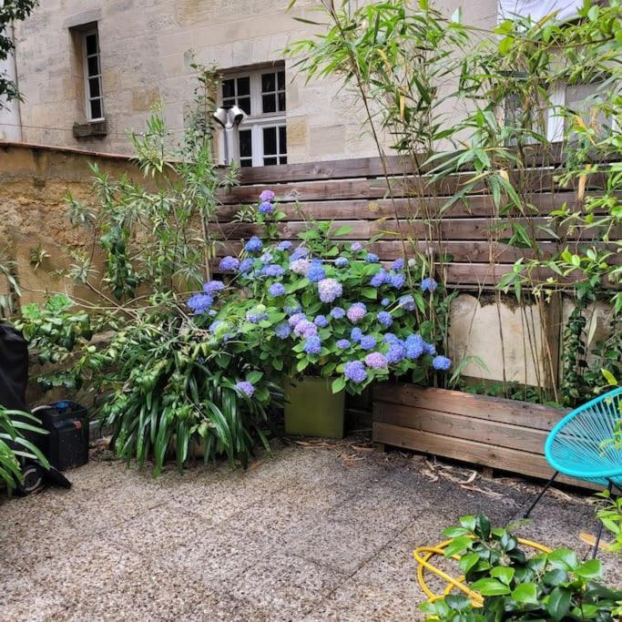 Appartemment Terrasse Parking Centre Historique Apartamento